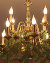 holiday tours