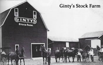 ginty's stock farm